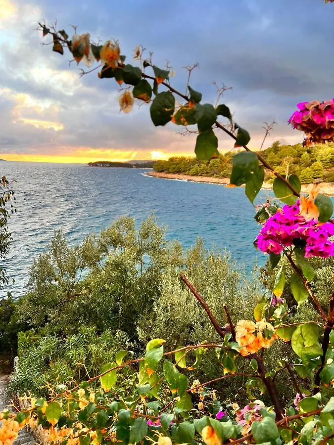 Luxury Beachfront Villa Carlisa Ciovo Apartment